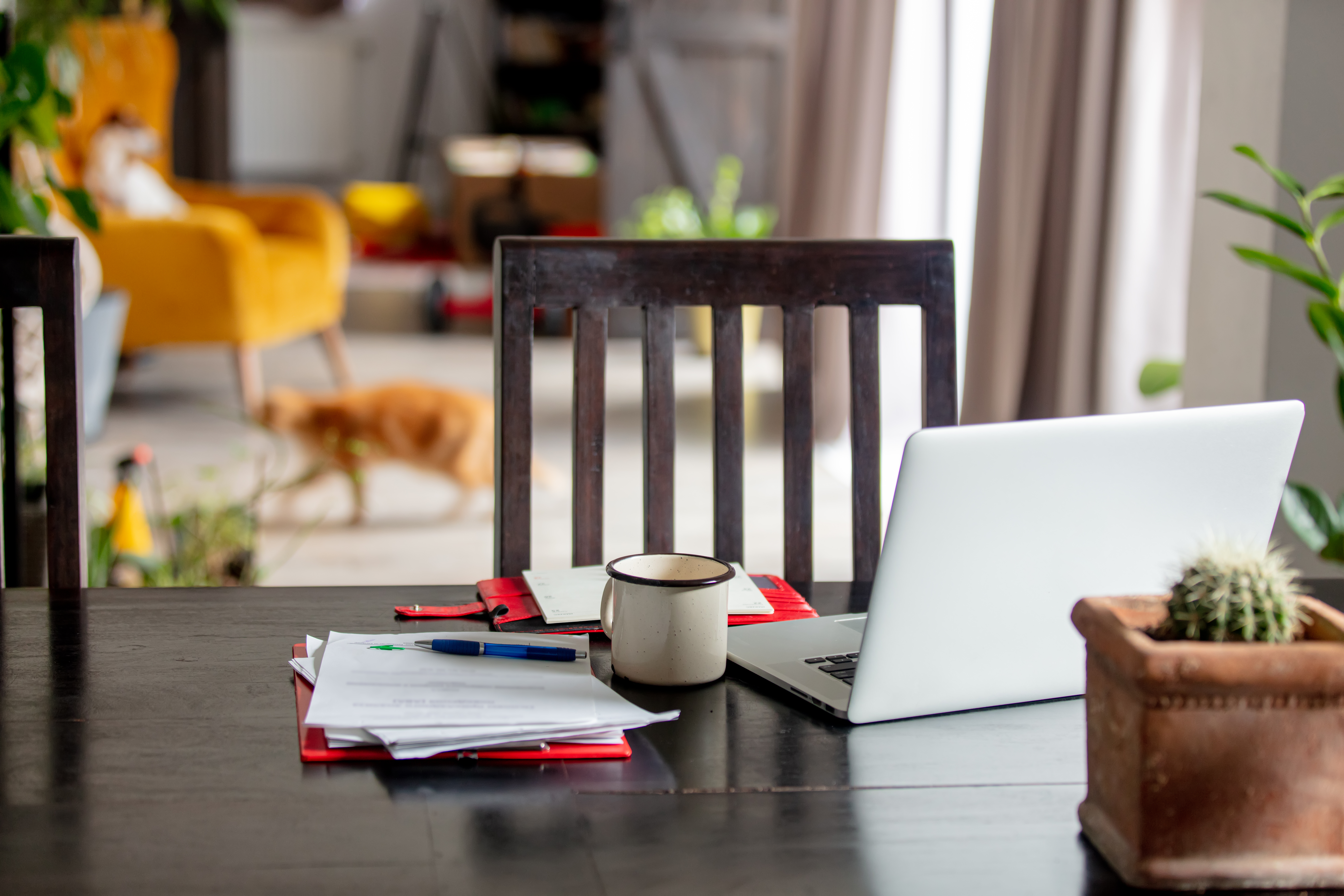 The Brutal Truth About Optimizing Your LinkedIn Profile to Attract Remote IT Recruiters